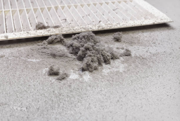 Best HVAC Duct Inspection Services  in Winter Beach, FL